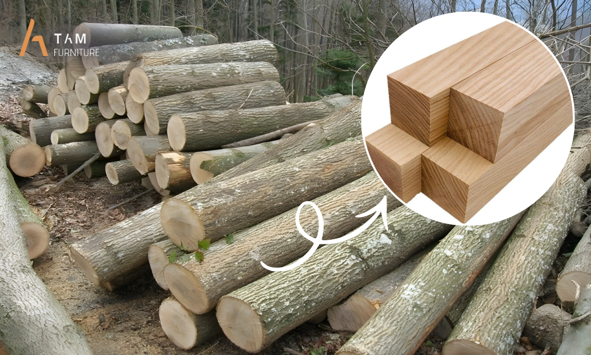 Gỗ tần bì mang đến sự sang trọng cho phòng khách khi làm ghế sofa